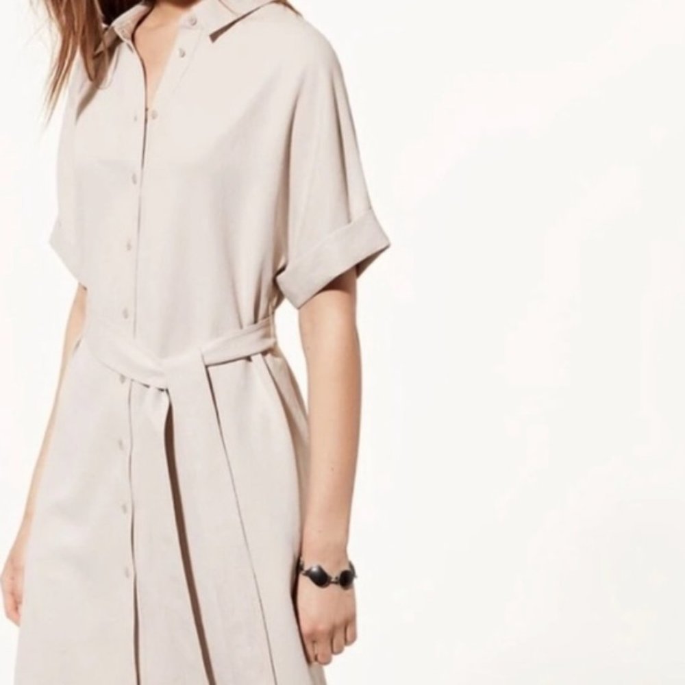 Babaton Glen Shirt Dress